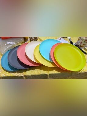 Plastic Outdoor Picnic Plates for Sumner (Pool) Dining. NWOT colorful 9.75 round